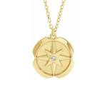 ✨Nautical Star Compass Necklace - Lat & Lo™