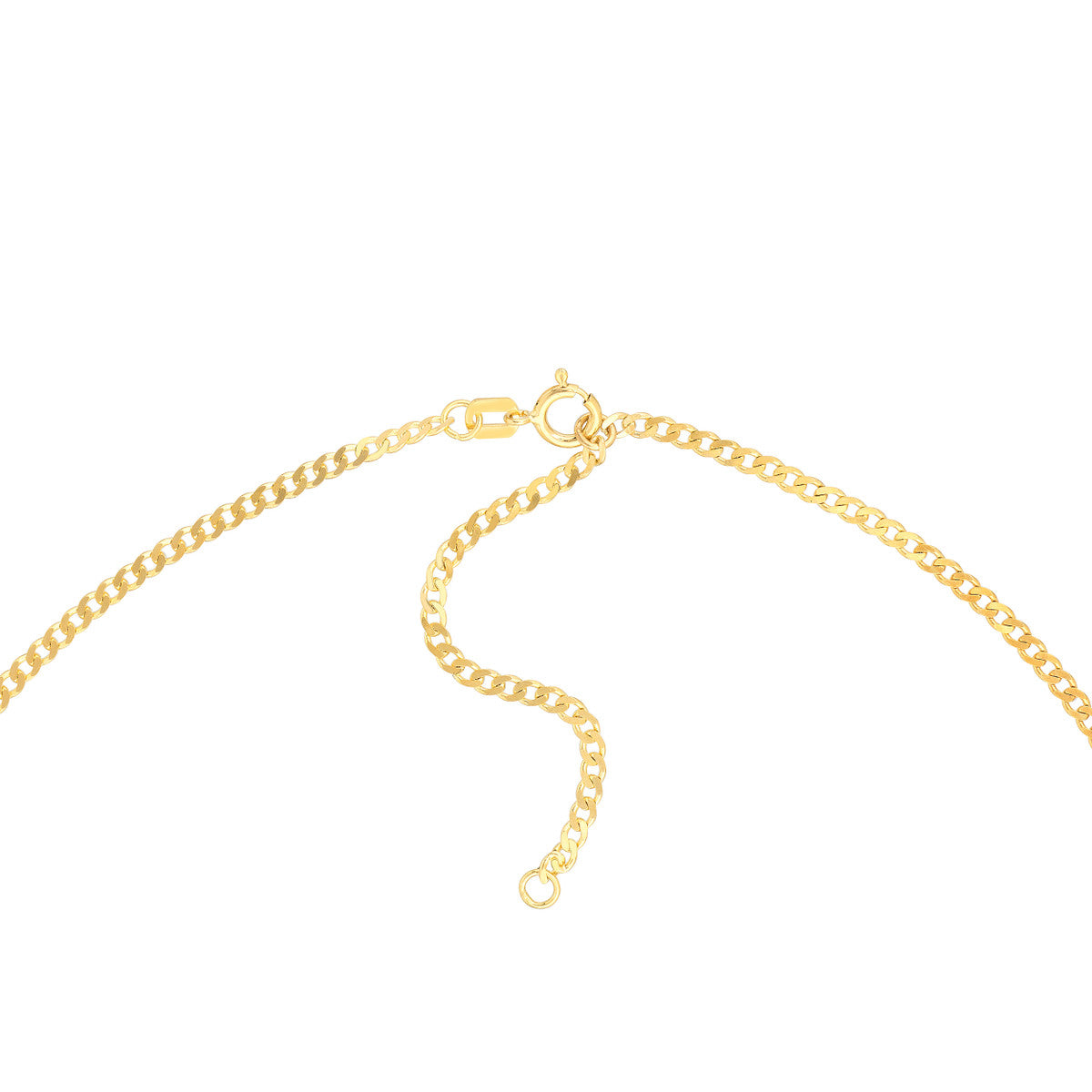 Gold chain necklace on a white background with Spring Clasp