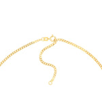 Gold chain necklace on a white background with Spring Clasp